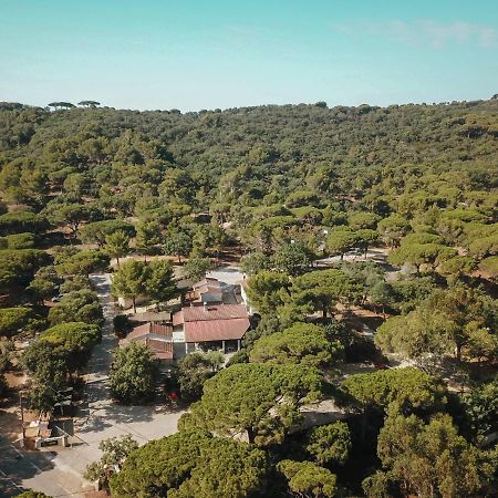 Camping Ladouceur Ramatuelle Ngoại thất bức ảnh