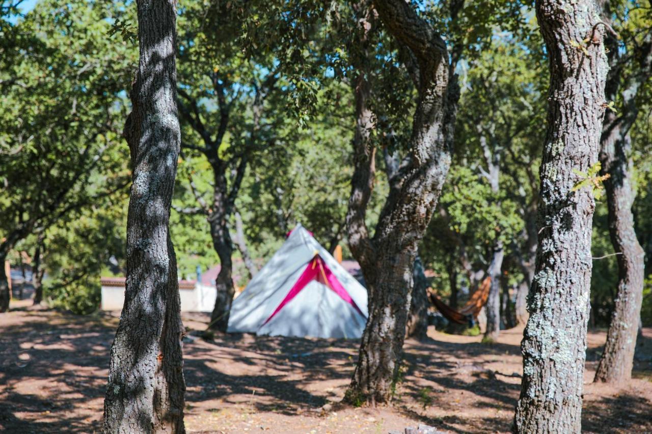 Camping Ladouceur Ramatuelle Ngoại thất bức ảnh