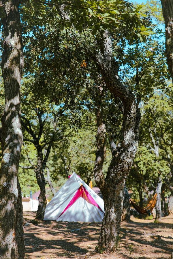 Camping Ladouceur Ramatuelle Ngoại thất bức ảnh