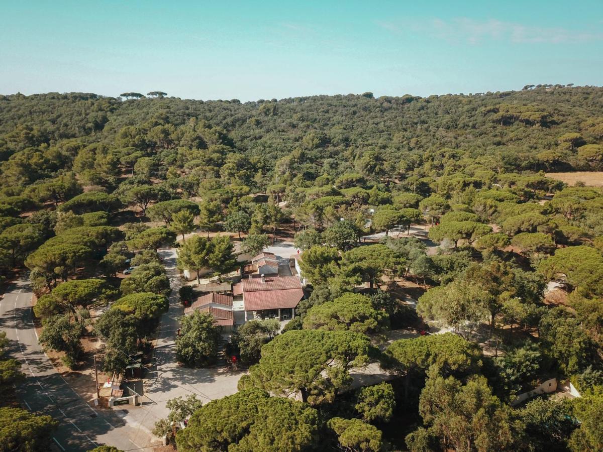 Camping Ladouceur Ramatuelle Ngoại thất bức ảnh