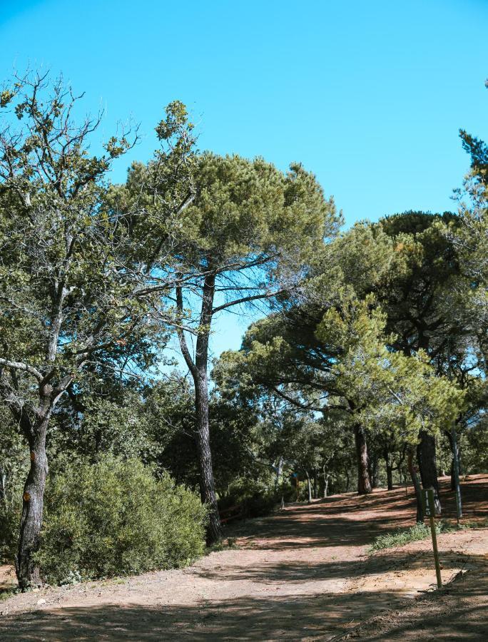 Camping Ladouceur Ramatuelle Ngoại thất bức ảnh