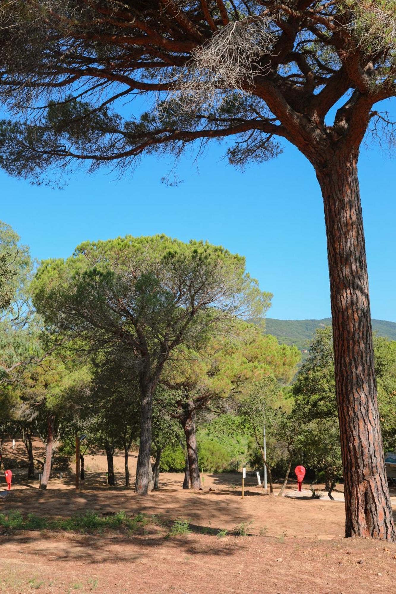 Camping Ladouceur Ramatuelle Ngoại thất bức ảnh