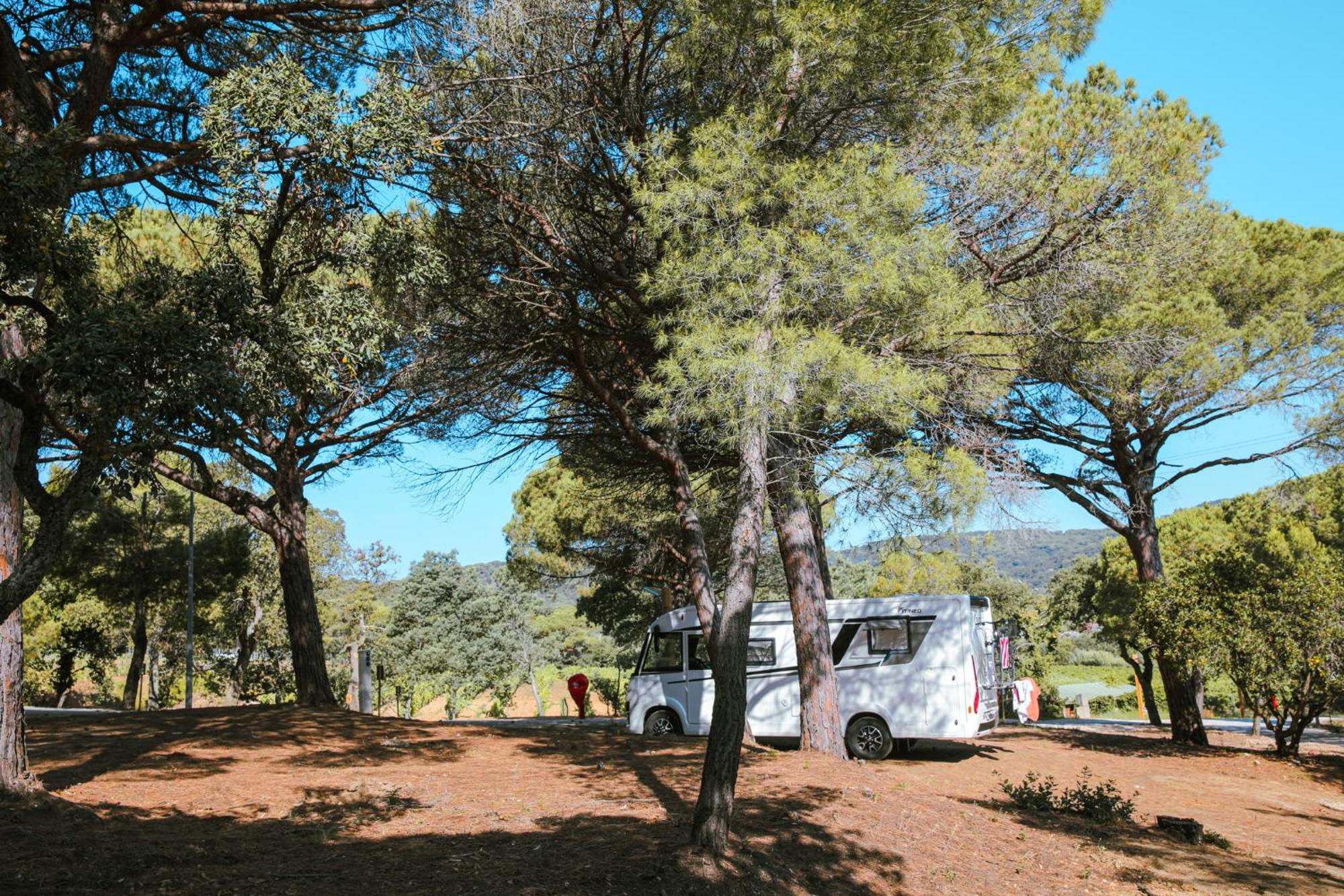 Camping Ladouceur Ramatuelle Ngoại thất bức ảnh