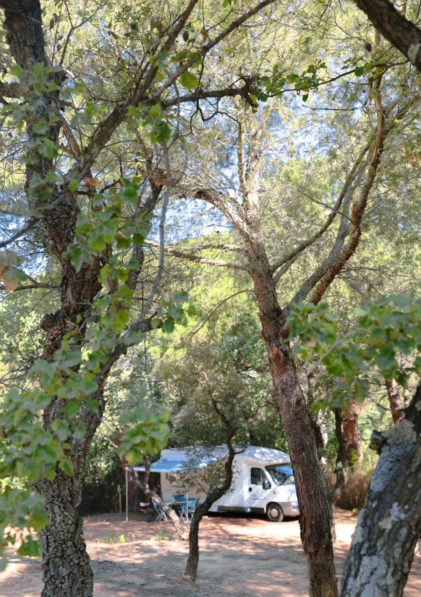 Camping Ladouceur Ramatuelle Ngoại thất bức ảnh