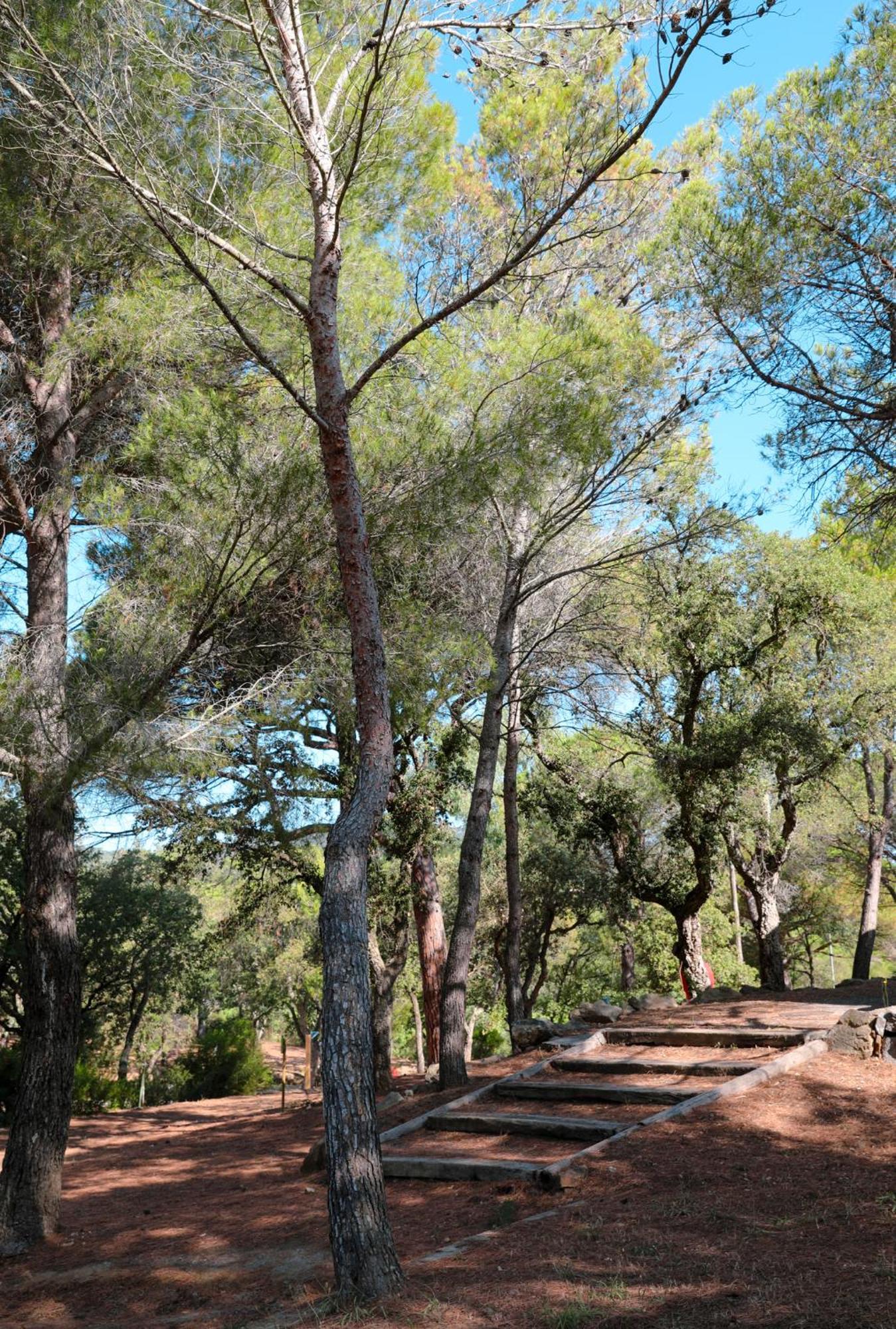 Camping Ladouceur Ramatuelle Ngoại thất bức ảnh